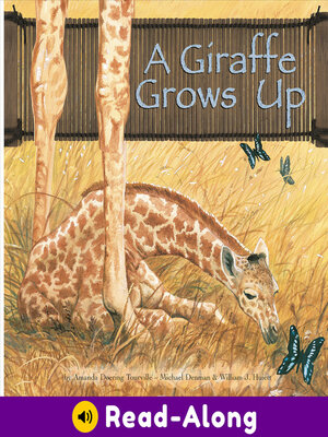 cover image of A Giraffe Grows Up